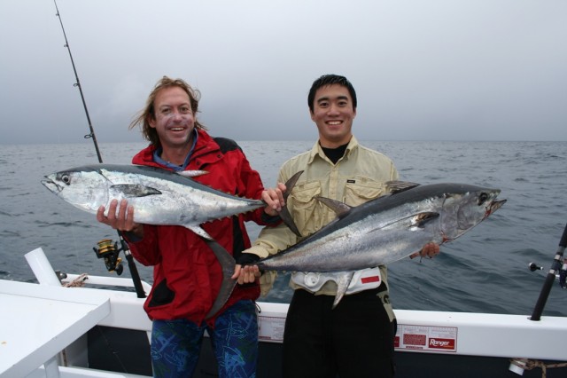 Longtail tuna Longtail tuna